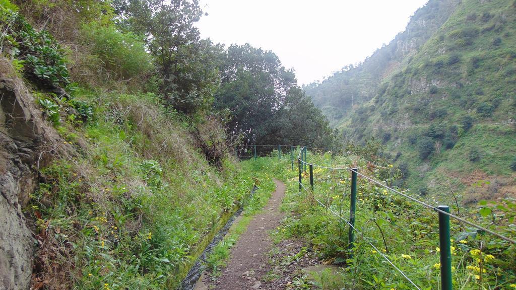 Levada Nova House Villa Ponta do Sol  Room photo